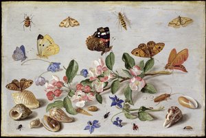 Insects (oil on copper)